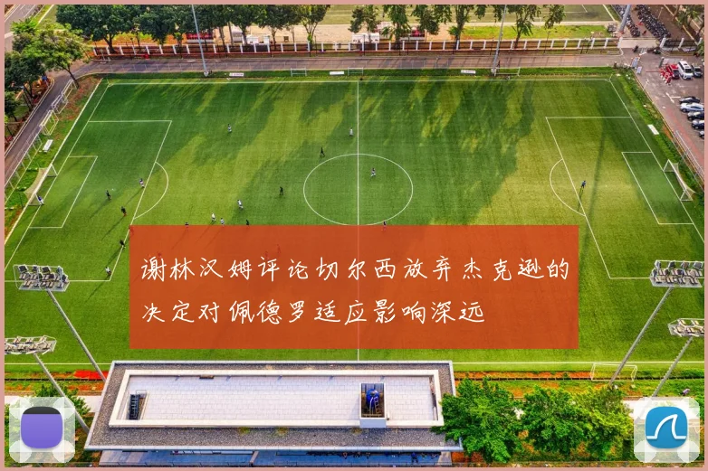 谢林汉姆评论切尔西放弃杰克逊的决定对佩德罗适应影响深远