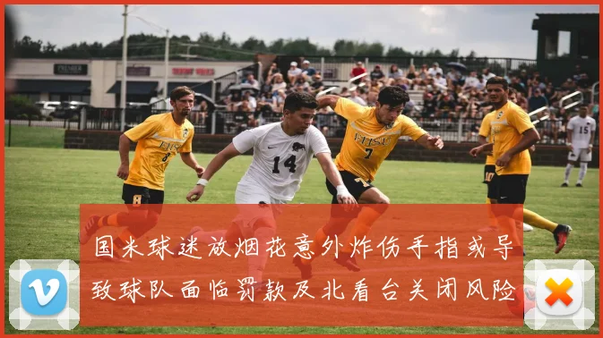 国米球迷放烟花意外炸伤手指或导致球队面临罚款及北看台关闭风险