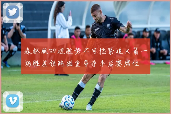 森林狼四连胜势不可挡紧追火箭一场胜差领跑掘金争夺季后赛席位