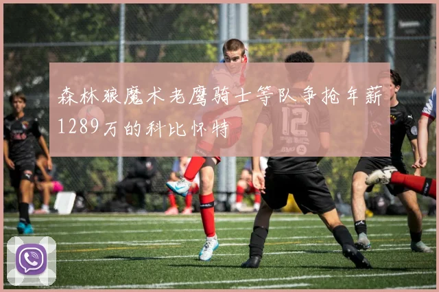 森林狼魔术老鹰骑士等队争抢年薪1289万的科比怀特