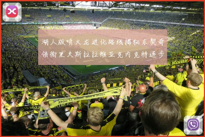 湖人版喷火龙进化路线揭秘东契奇领衔里夫斯拉拉维亚克内克特逐步崛起