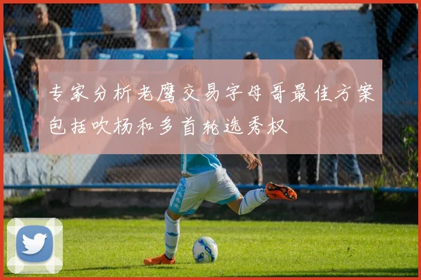 专家分析老鹰交易字母哥最佳方案包括吹杨和多首轮选秀权